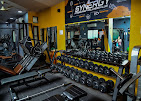 Synergy Fitness & Wellness Club Akola Gym